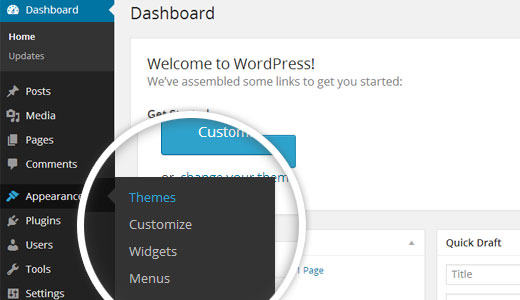 wordpress appearance